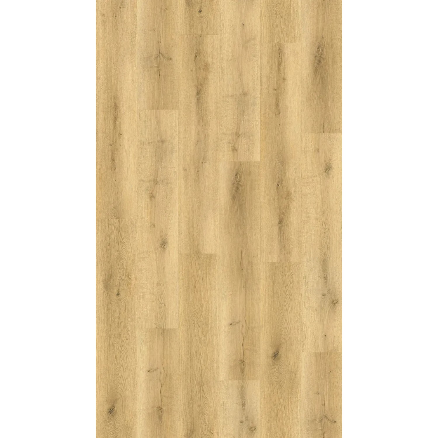 Panel winylowy Dąb Bergen ze zintegrowanym podkładem korkowym 6+1mm podkład