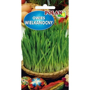 Owies wielkanocny - 20 g