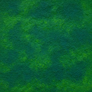 Zielona farba efektowa t.b.t. do kreatywnej aranżacji ścian.