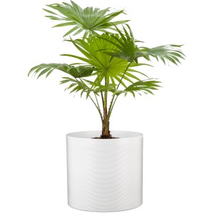 Scheurich osłonka 828 Panna, Ø 14 cm, ceramiczna z rowkami, do wnętrz.