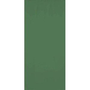 Zasłona DARK zaciemniająca na taśmie 140 x 270 cm zielona