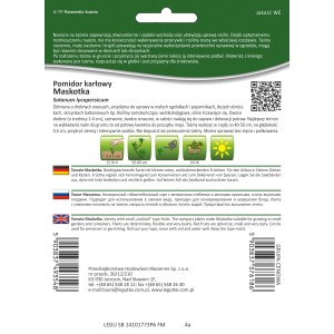 Taśma nasienna pomidora 'Maskotka': Mini pomidory do ogrodu i na balkon.