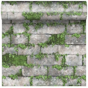 Tapeta dekoracyjna t.b.t. z motywem kamiennego muru i roślin.