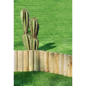 Drewniana palisada jako obrzeże rabaty w ogrodzie, z kaktusem w tle.
