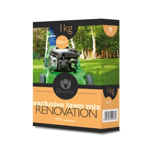 Opakowanie mieszanki nasion traw do renowacji trawnika, odpowiednie na powierzchnię 40 m².