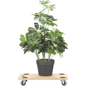 Płyta transportowa MDF z rośliną, 57,5x29x9,5cm, nośność do 200kg.