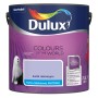 Dulux farba do ścian "kwiat rozmarynu" (Kwiat rozmarynu), matowa farba lateksowa do wnętrz, 2,5L.
