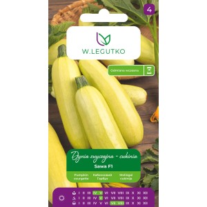Legutko Dynia zwyczajna Sawa 2g