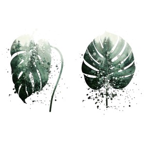 Naklejki na ścianę: Dwa zielone liście Monstera z motywem lasu i plamami farby.