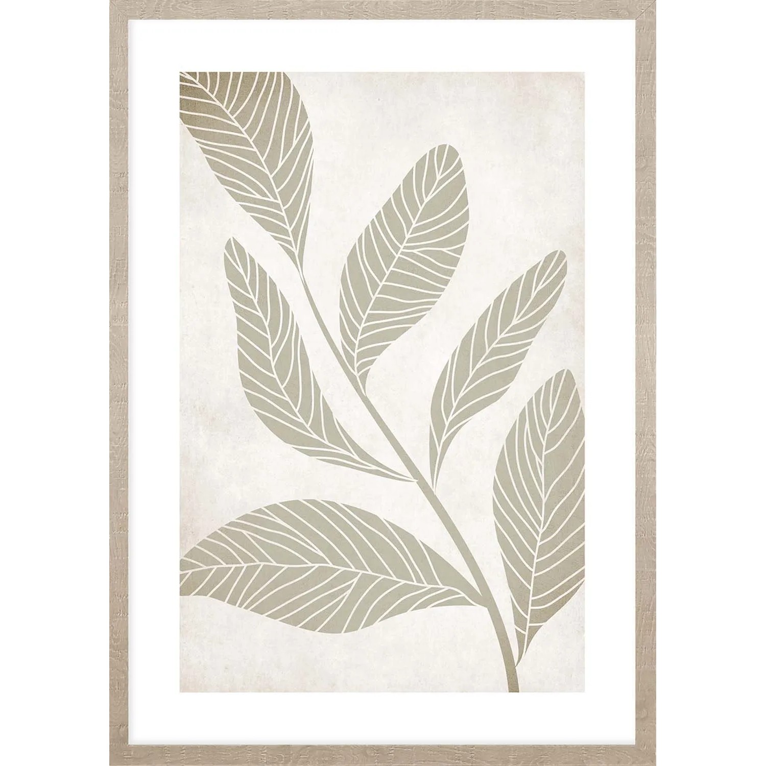 ARS LONGA Obraz PASTEL GREEN PLANT 53 x 73 cm