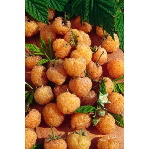 Złotożółte maliny na drewnianym tle z zielonymi liśćmi.