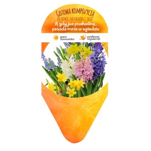 Mieszanka roślin cebulkowych: Narcyzy, hiacynty i szafirki w różnych kolorach.