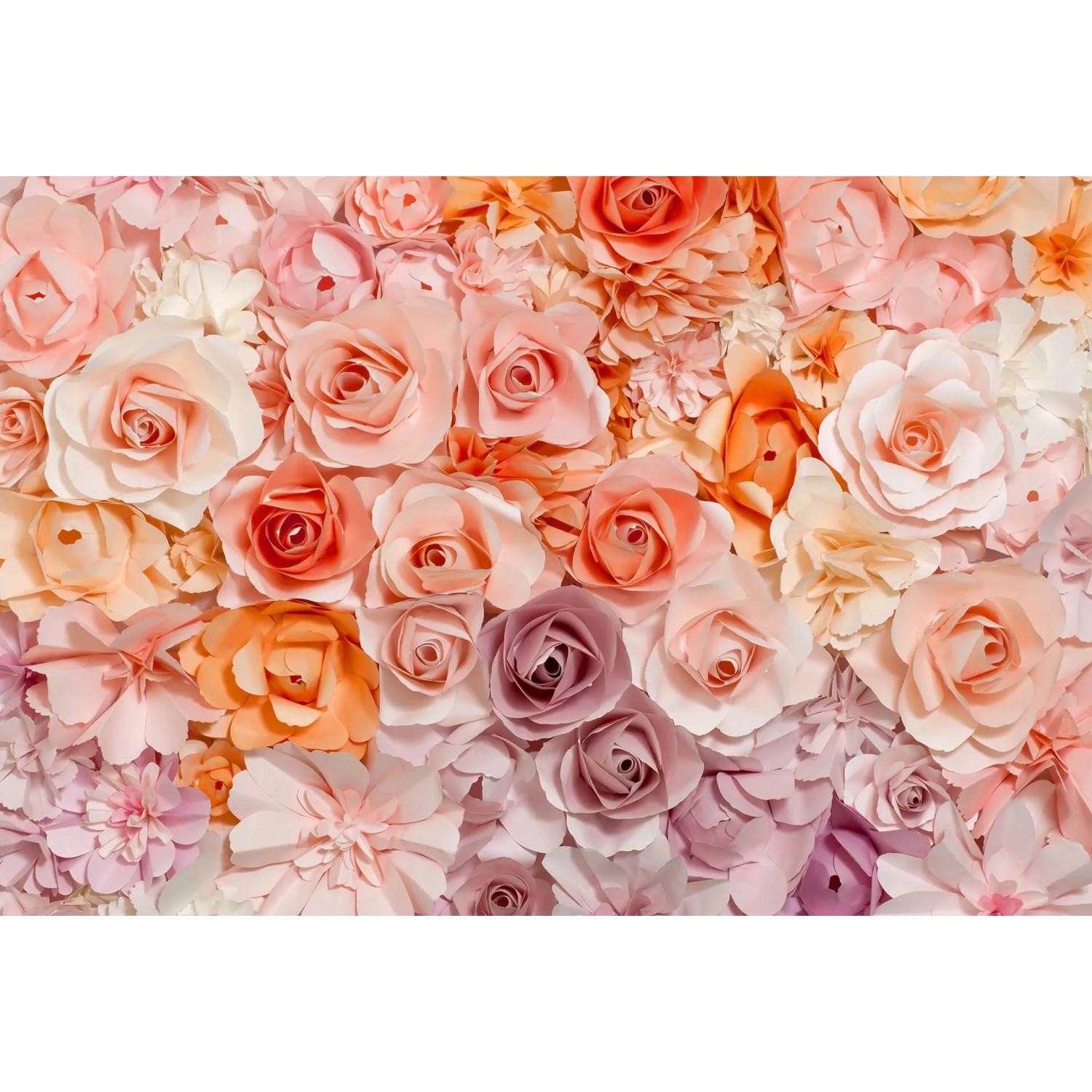 Fototapeta Flowers 384 x 260 cm