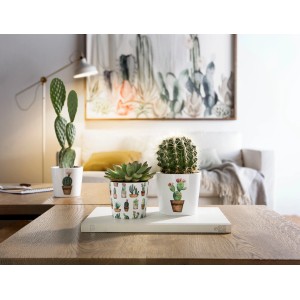 Scheurich Osłonka Cactus Garden - śr. 9 cm