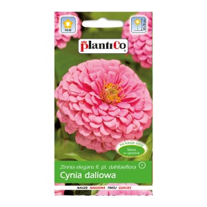 Opakowanie nasion cynii 'Dahlia', różowy kwiat. Nasiona kwiatów na rabaty i balkony.