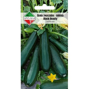 Dynia Black Beauty - 5 g