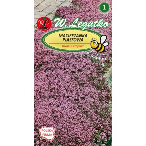 Opakowanie nasion macierzanki piaskowej (Thymus serpyllum) na kolorową łąkę kwiatową.