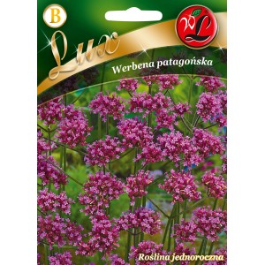 Opakowanie nasion werbeny patagońskiej.