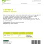 Szpinak Olbrzym zimowy- - 20 g_2