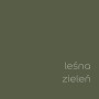 Próbka koloru farby do ścian t.b.t. w kolorze leśnej zieleni. Idealna do wnętrz.