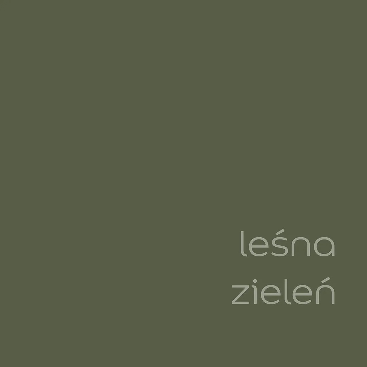 Próbka koloru farby do ścian t.b.t. w kolorze leśnej zieleni. Idealna do wnętrz.