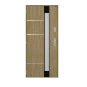 Wiśniowski Drzwi zewnętrzne TENDO LUSTRO Malt 80L