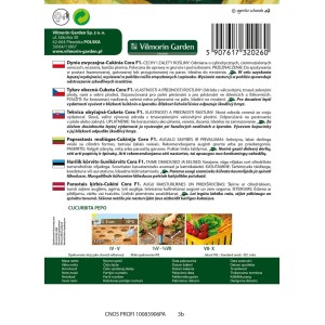 Dynia zwyczajna cukinia Cora - 2 g
