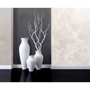 Aranżacja ściany z farbą efektową t.b.t.: Wazony i gałęzie na tle teksturowanej ściany.