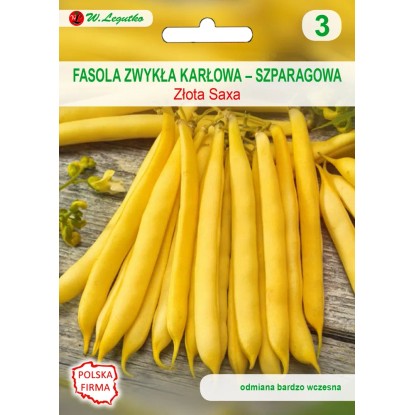 Fasola szparagowa karłowa Złota Saxa 35,00g