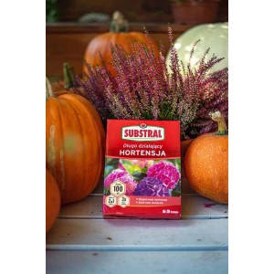 Opakowanie nawozu długodziałającego do hortensji Substral na tle dyń i wrzosów.