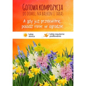 Mieszanka roślin cebulkowych: Narcyzy, hiacynty i szafirki w kolorach żółtym, białym, różowym i niebieskim.