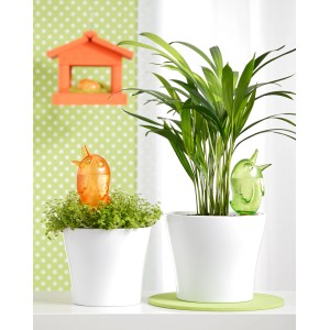 Figurki nawadniające Scheurich Bördy M w kolorze pomarańczowym i zielonym w białych doniczkach.