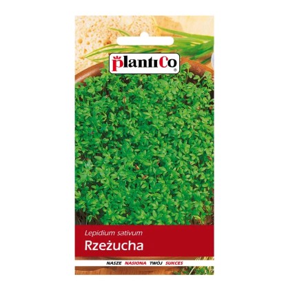 Rzeżucha  ogrodowa