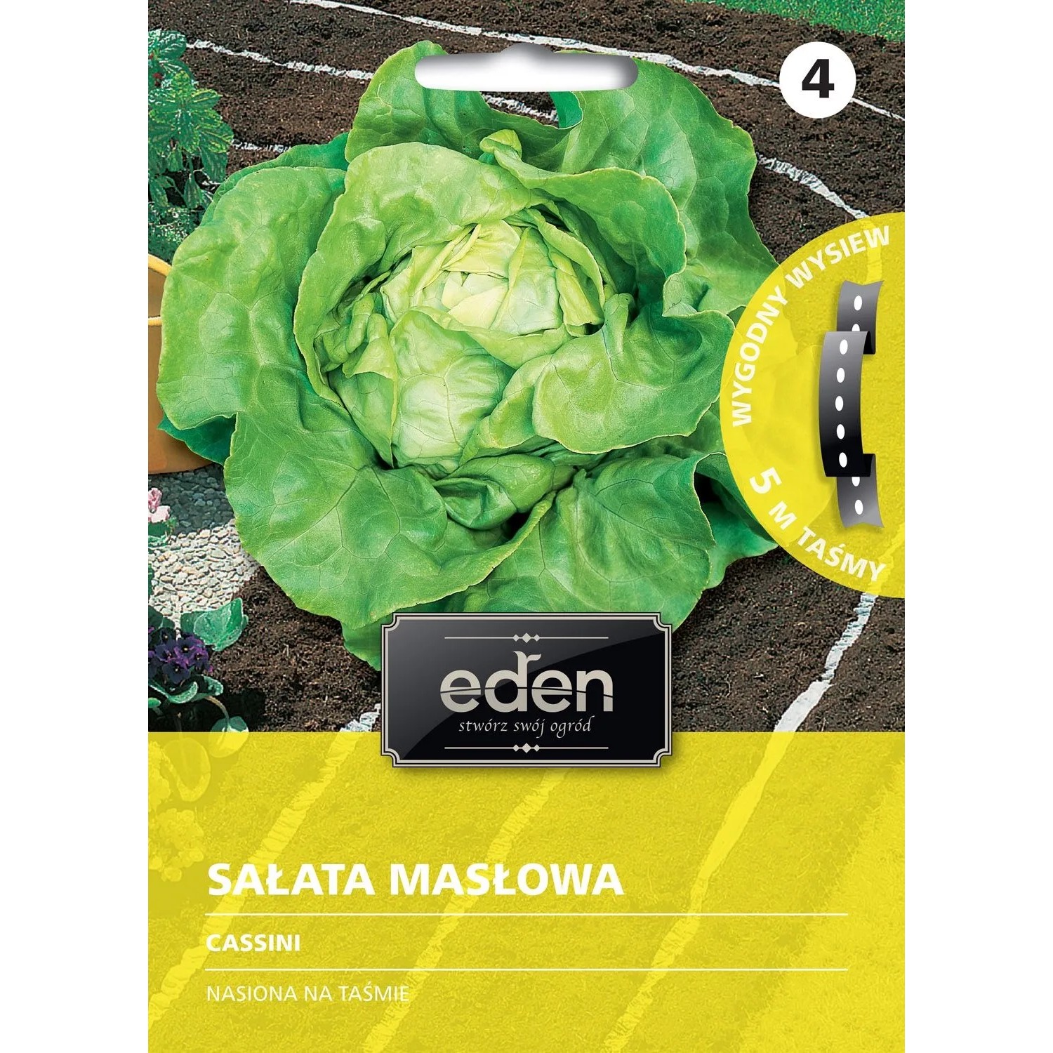 Sałata masłowa całoroczna Cassini - 5 m