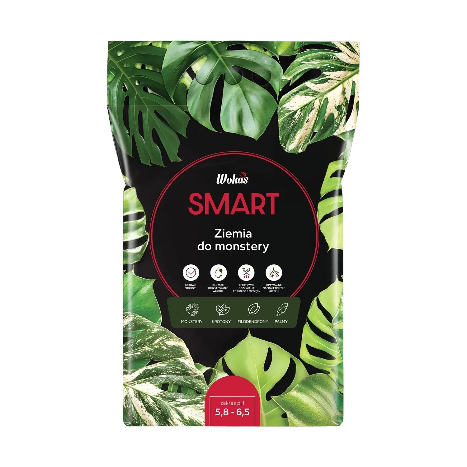 Wokas Podłoże do monstery SMART 10L