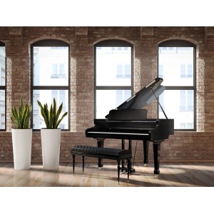 Wysokie, białe doniczki z kategorii Doniczki na kwiaty z roślinami Sansevieria obok pianina.