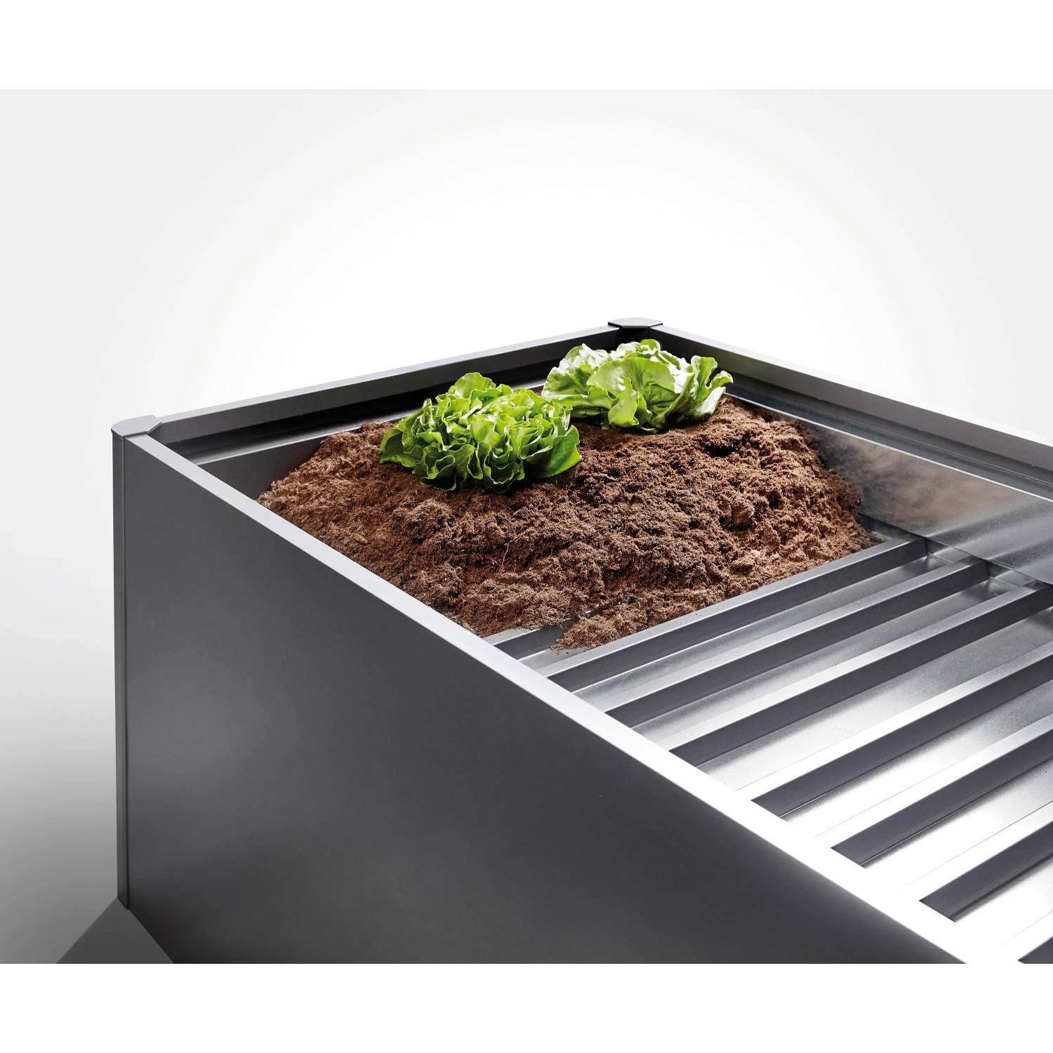 Biohort Półka pośrednia do podwyższonej grządki, wymiary 1,5 m x 0,5 m