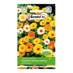 Opakowanie nasion nagietka: Kolorowe kwiaty na rabaty i balkony.