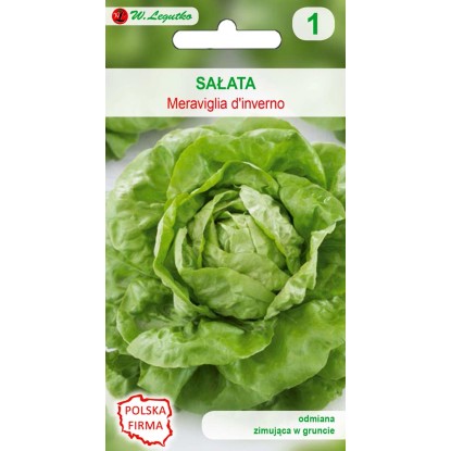 Sałata (Lactuca sativa) Meraviglia D'inverno - 0,5 g