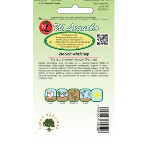 Opakowanie nasion kwiatów Złocień właściwy (Chrysanthemum leucanthemum).