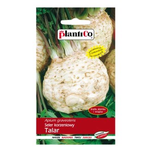 Opakowanie nasion selera korzeniowego 'Talar'. Nasiona warzyw do ogrodu.