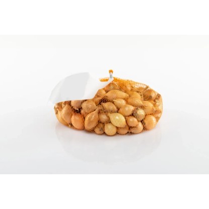 Cebula dymka Stuttgarter 8-21 500g