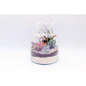 t.b.t. oplątwa i bromelia w szklanym naczyniu z piaskiem, kamieniami i drewnem dekoracyjnym.