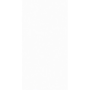 Gres szkliwiony polerowany White Plain 60 × 120 cm