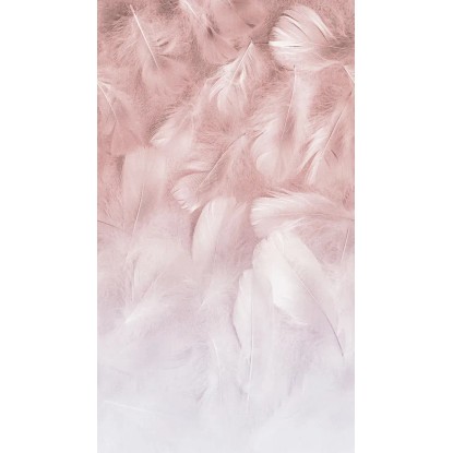Tapeta panoramiczna winylowa na flizelinie FEATHERS 159 x 280 cm
