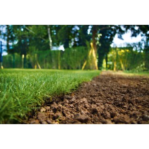 Świeżo rozłożony trawnik obok przygotowanej ziemi w ogrodzie.