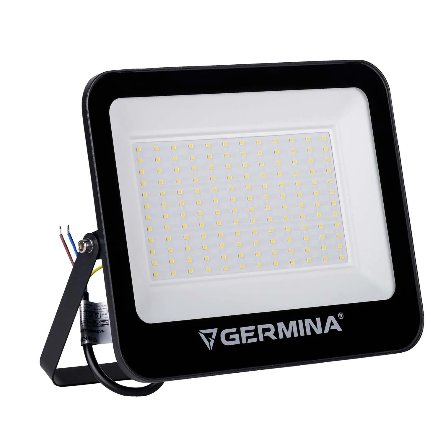 Germina Naświetlacz LED HERA 100W 6400K 10000lm IP65 czarny