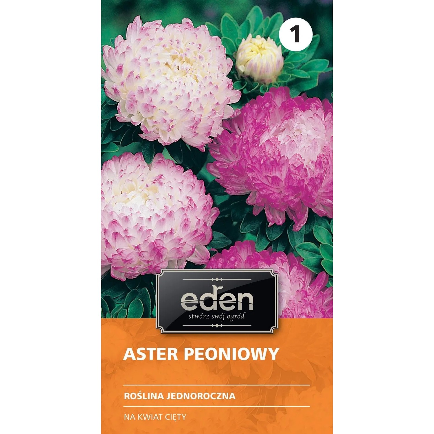 Aster chiński peoniowy Anielka - 0,5 g