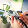 Sekator ogrodowy OBI w użyciu podczas cięcia orchidei, system bypass, powłoka nieprzywierająca.