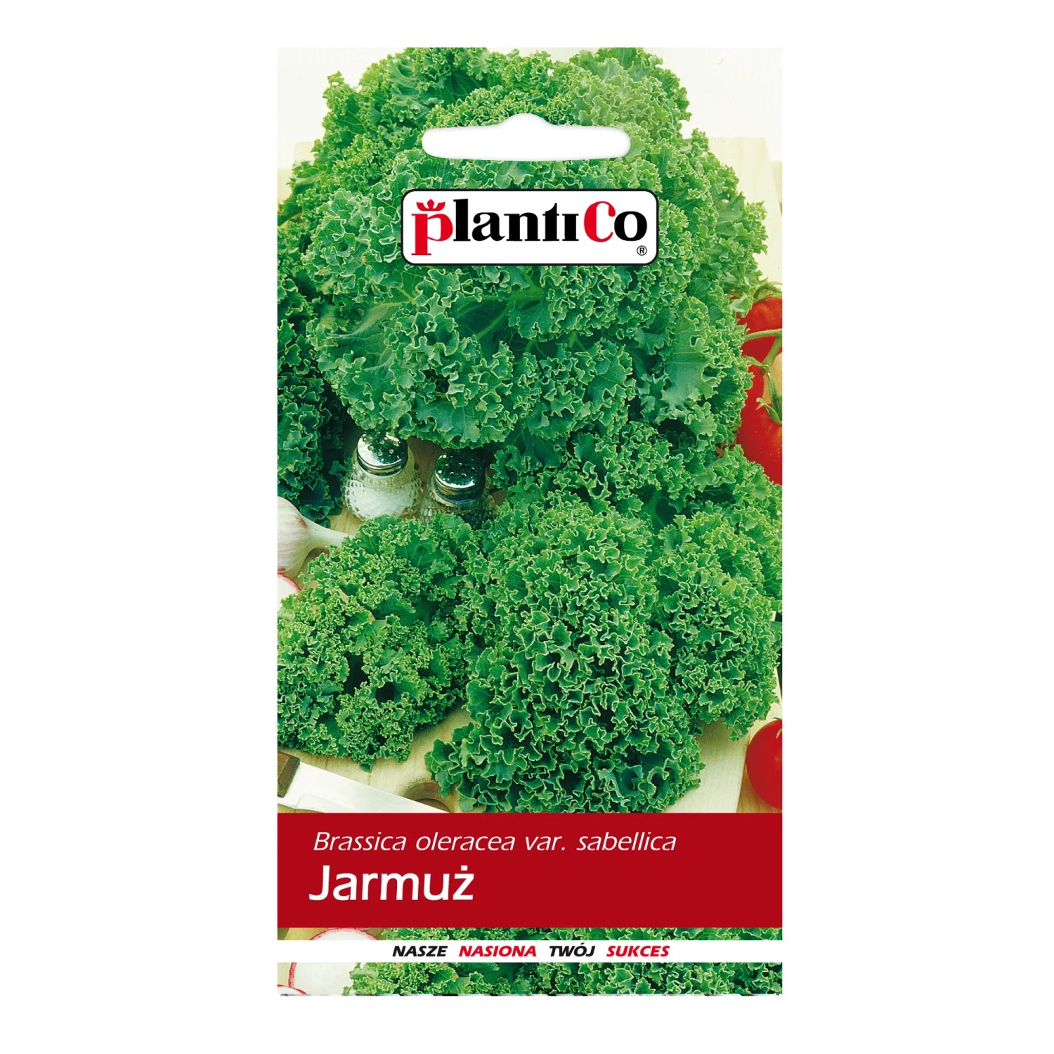 Jarmuż kędzierzawy